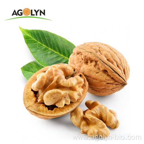 AGOLYN Organic natural raw walnut without shell